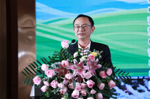 院线电影《叔父》在莆田启动，将在木兰溪取景