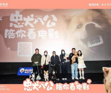 影力波 | 两部动物电影来袭，“大黄”和“赤兔”们的命运为何引热议