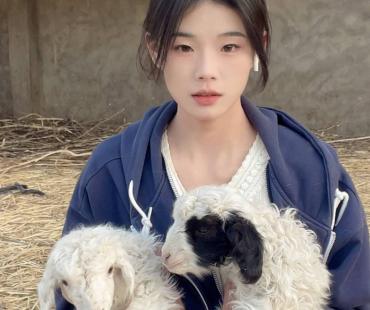 网红灰太狼的羊被家暴竟是恶意炒作，别为流量占用社会资源