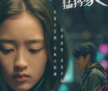 电影《会考试的猛犸象》定档9月16日，邓恩熙本色演绎少女成长