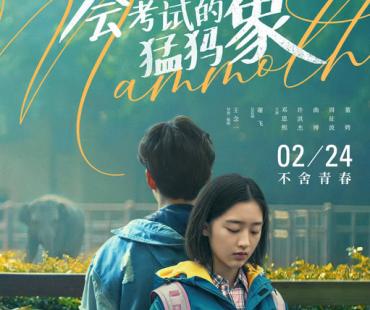 电影《会考试的猛犸象》定档2月24日，邓恩熙领衔打卡青春回忆