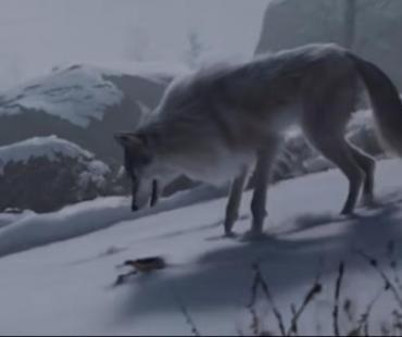 爆款动画片《中国奇谭》，为什么会这么火？