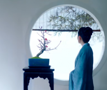 纪录片《惟有香如故》导演：冷门不可怕 假装热门才可怕