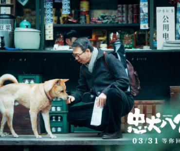 电影《忠犬八公》定档3.31 经典故事注入中国味儿