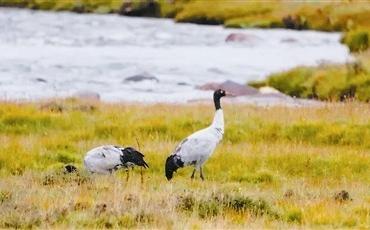 纪录片《荒野至上》第二季开播