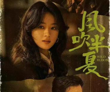 《风吹半夏》高口碑高热度收官 大结局妙笔点睛展现时代切面