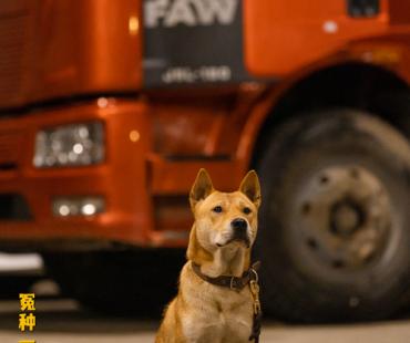 《人生路不熟》发布预告 乔杉范丞丞马丽张婧仪爆笑出发