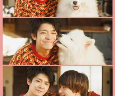 《爱你汪汪》发布海报 人与宠物之间的感情动人