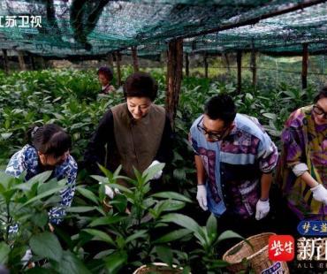 《新生万物》揭秘白族扎染制作工艺，扎染原来还是表达爱意的方式