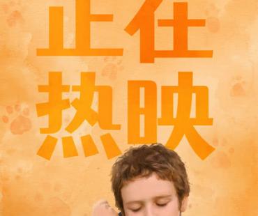 电影《忠犬帕尔玛》全国热映中，暑期档治愈天花板不容错过！