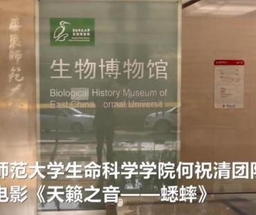 高校团队拍科普微电影 带人们走进蟋蟀的世界