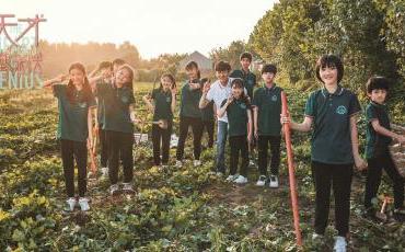 《天才基本法》：面对命运，所有努力不会是徒劳的